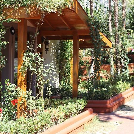 Boncuklu Otel Ölüdeniz Buitenkant foto