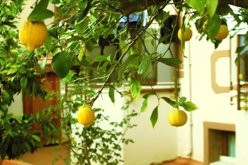 Boncuklu Otel Ölüdeniz Buitenkant foto